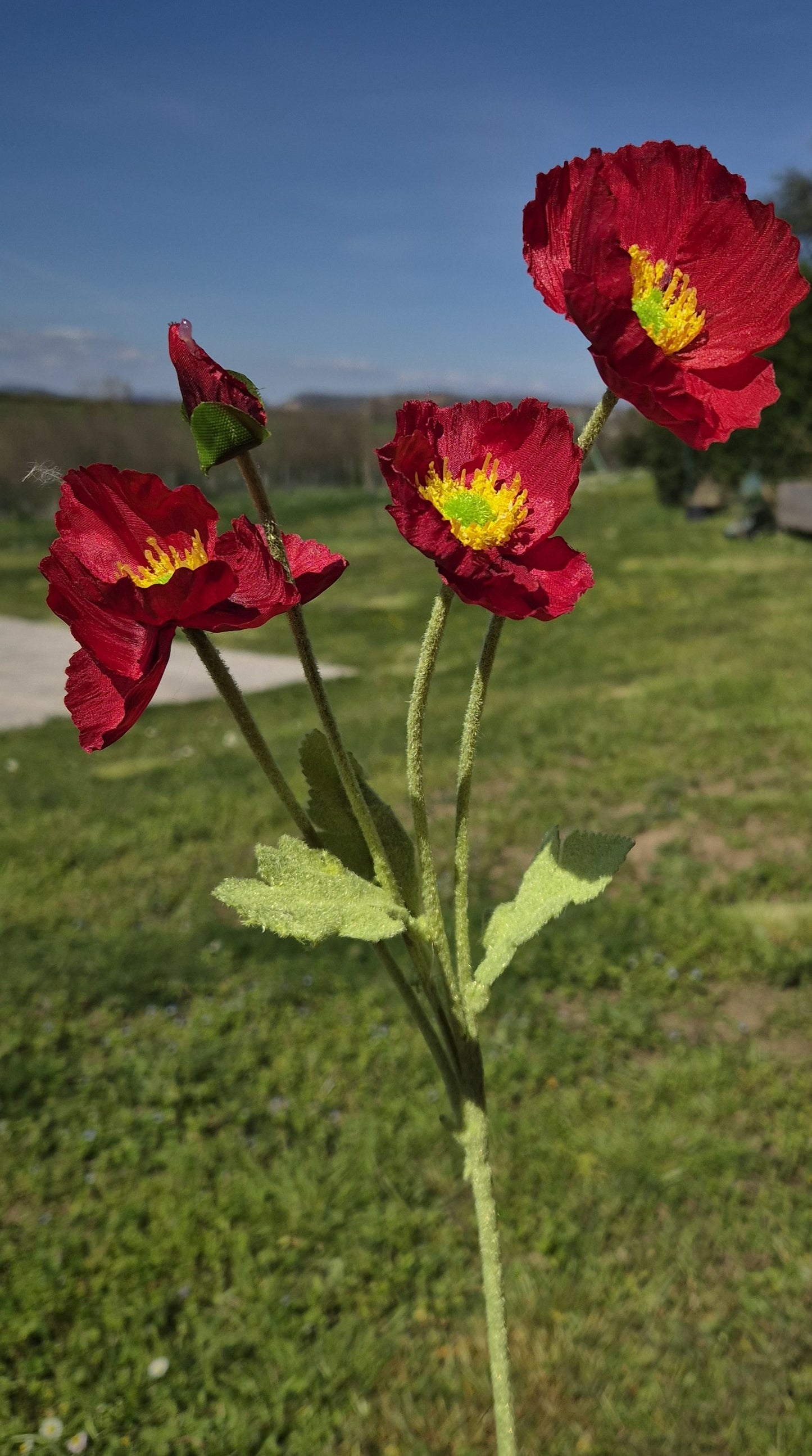 Coquelicots Artificiels